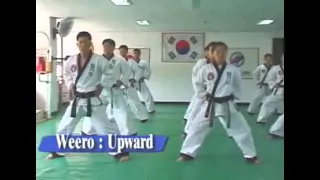 LEE CHENG SOO HAPKIDO Full version