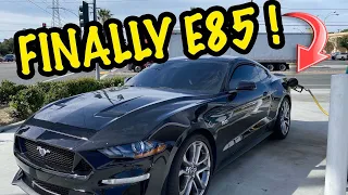 MY 2019 Mustang GT GOES E85 Lund Tune ! *ITS FAST !*