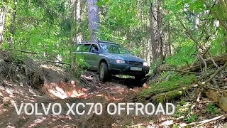 Volvo XC70 offroad. Lifted Volvo AWD power.