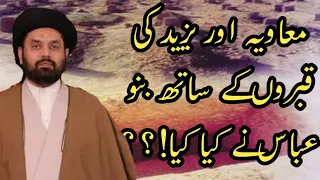 Yazeed aur Muawiya ki qabar by Allama Sheharyar Raza Abidi