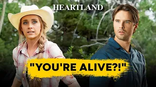 Heartland Season 17 Might Bring Ty Back!