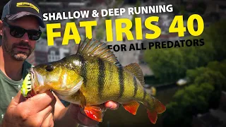 SPRO - Fat IRIS 40 - For All Predatory Species