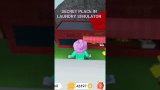 SECRET PLACE IN LAUNDRY SIMULATOR.