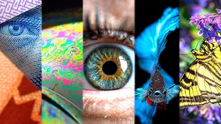 CREATIVE Macro Photography Ideas