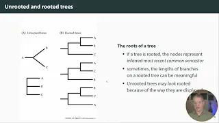 Phylogenetic trees: the basics