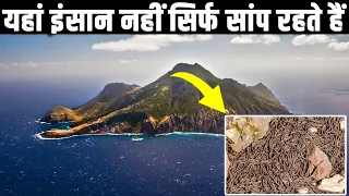 यहां इंसान नहीं सिर्फ सांप रहते हैं| Why Snake Island Is The Scariest Place On Planet Earth