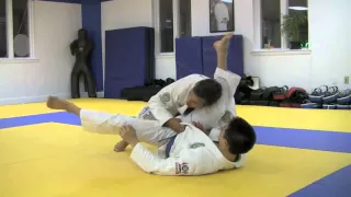 Brazilian Jiu-Jitsu: Pedro Sauer Helio Gracie Guard Pass