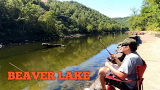 Late Summer Fishing At Beaver Lake Tailwaters