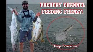 FEEDING FRENZY at PACKERY CHANNEL Jetties, Corpus Christi, TEXAS - Redfish limits and BIG KINGFISH!!