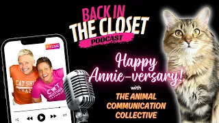 We Found A Kitten & It's Her Annie-versary | Back In The Closet with Animal Communicators