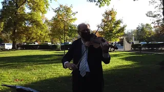 David Rimelis, Violinist