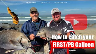 How to catch your FIRST/PB Galjoen | Tips & Techniques | ASFN Rock & Surf