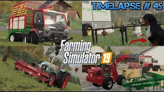 Harvesting STEEP SLOPES with LÜÖND SELF-LOADING WAGON! 😱🚜💨 New herding dog? 🐶🥰| [FS19]-Timelapse #45