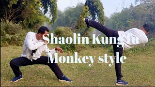 Shaolin Kung fu/Monkey 🐒 Fist 👊