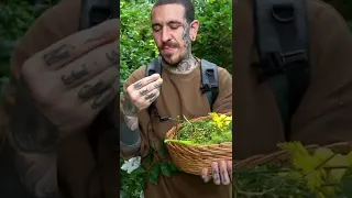 Foraging wild food in London! #short #shorts