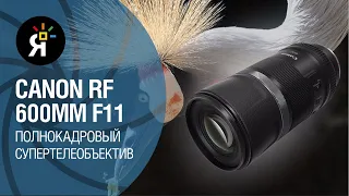 Canon RF 600mm F11: обзор на полнокадровый супертелеобъектив