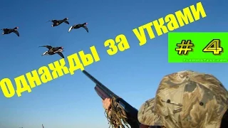 Once the ducks (Part 4). Однажды за утками. (Часть 4).