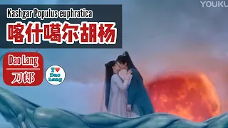 【FMV】刀郎 Dao Lang【喀什噶尔胡杨 Kashi Basin Populus】-【沉香如屑·沉香重华Immortal Samsara】FMV