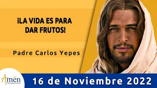 Evangelio De Hoy Miercoles 16 Noviembre 2022 l Padre Carlos Yepes l Biblia l Lucas 19,11-28