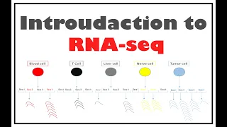 مقدمه في تقنية (RNA-seq) لقياس التعبير الجيني في الخلايا | RNA sequencing | Introduction to rna-seq