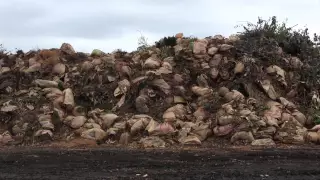 How's It Made - Finished Compost