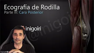 ECOGRAFÍA DE LA RODILLA (PARTE 3): CARA POSTERIOR