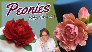 Peonies with Mercedes