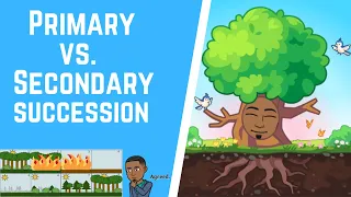 Primary vs  Secondary Succession 101
