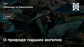 О природе падших ангелов