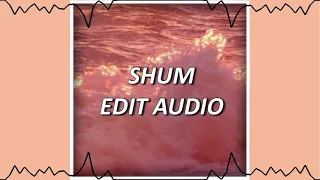 ✨ EDIT AUDIO Go_A SHUM