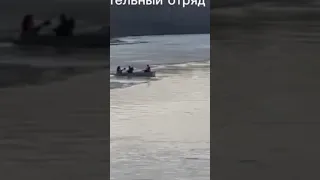 В Салавате (Башкирия) спасатели вытащили из реки косулю #спасение #помощь_животным #башкортостан