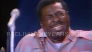 Albert King- "I'll Play The Blues For You" LIVE 1972 [Reelin' In The Years Archives]