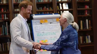 Prince Harry Dances With Jane Goodall At Roots & Shoots Global Leadership Meeting 2019!