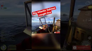 Big Atlantic Salmon Caught on Live Stream - Russian Fishing 4