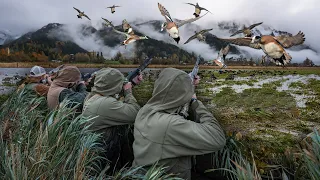 SHEETWATER WIGEON IN A DOWNPOUR!! (60 BIRDS)