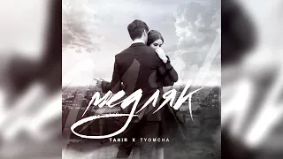 Tanir & Tyomcha   Медляк 360p 1