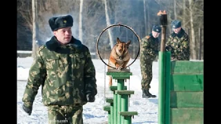 Песня.Граница в нашем сердце навсегда Олег Славский