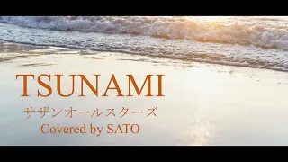 TSUNAMI/サザンオールスターズ/カバー