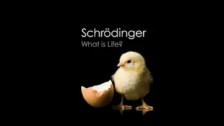 Эрвин Шредингер. “Что такое жизнь?” Фрагменты. Прочитал Алекс Собко, д-р биологии.