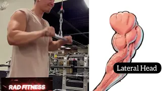 3 Best Tricep Long Head Medial and Lateral Head Tricep Workout   Tricep Exercises