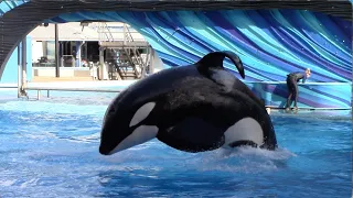 Orca Encounter (Full Show) - SeaWorld Orlando - January 4, 2022