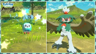 [Live] Shiny Rowlet + Shiny Hisuian Decidueye Evolution Massive  Outbreak Method [PLA]