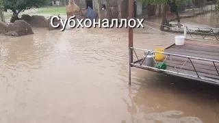 Сел дар н.Ёвон