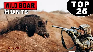 TOP 25 WILD BOAR HUNTING SHOTS  HEYECAN DOLU YABAN DOMUZU AVI  EN İYİ 25 DOMUZ AVI