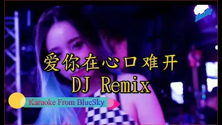 爱你在心口难开 DJ