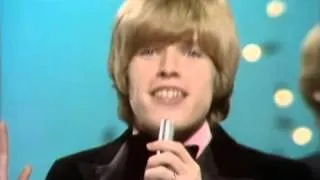 Herman's Hermits - There's A Kind Of Hush