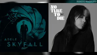 Adele & Billie Eilish - No Time To Fall | MIXED MASHUP