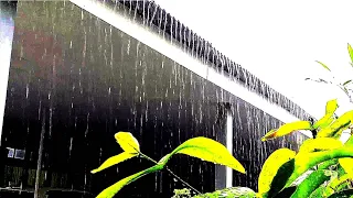 Calm Rain Sound On Window with Thunder SoundsㅣHeavy Rain for Sleep, Study and Relaxation, Meditation