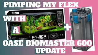 Pimping My Fluval Flex 123 litres With A Oase BioMaster 600 (1 Month Update)