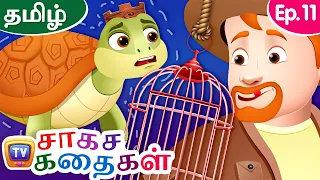 வேட்டைக்காரனும்  ஆமை அரசனும் (The Poacher and the Turtle King) ChuChu TV Storytime Adventures Ep. 11